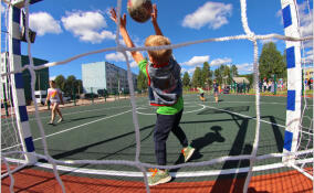 В ближайшие годы в Ленобласти будет модернизирован 31 спортивный объект