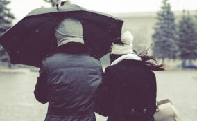 До +4, местами дожди: прогноз погоды в Ленобласти на 2 декабря