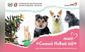 В Ленобласти дали старт акции «Сытый Новый год»