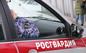 Подозреваемого в изнасиловании задержали в Петербурге