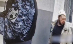 Росгвардия разнимала драку в хостеле в Петербурге