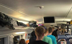 Прокуратура проверит ситуацию с застрявшим на перегоне в Ленобласти поездом