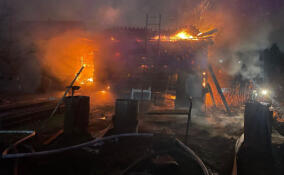 За сутки в Ленобласти ликвидировали семь пожаров: спасен один человек