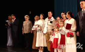 Многодетных родителей Ленобласти отметили знаками отличия