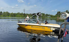 Судоводитель получил условный срок за гибель женщины на реке Оредеж