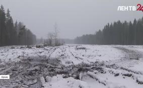 В собственность Ленобласти передано 40 гектаров земли для льготных категорий граждан