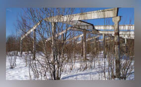 Два неиспользуемых объекта в Бокситогорском районе выставили на торги