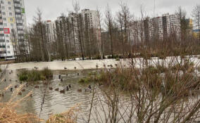 Во Всеволожске проверили воздух на месте разлива химических веществ