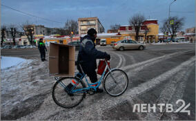 Без осадков и до +4 градусов: о погоде в Ленобласти 3 декабря