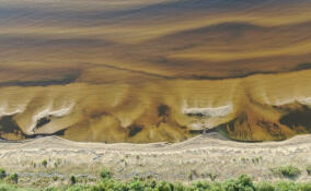 В Нижне-Свирском заповеднике показали песчаные валы Ладоги