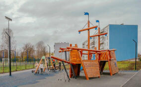 Жители Ленобласти подали 7,5 тыс. предложений по благоустройству