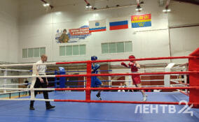 В Выборге стартовал V Турнир по боксу памяти Александра Петрова