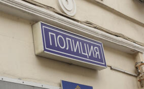 Возле школы в Парголово подростки устроили массовую потасовку