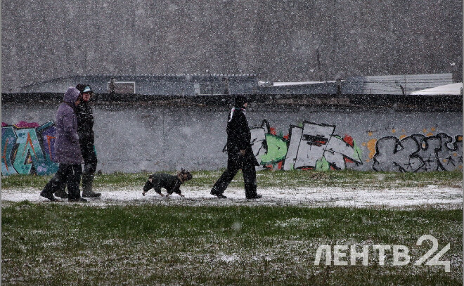Дожди, мокрый снег и до +3 градусов: о погоде в Ленобласти 4 декабря