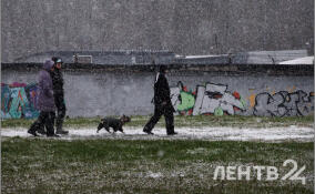 Дожди, мокрый снег и до +3 градусов: о погоде в Ленобласти 4 декабря