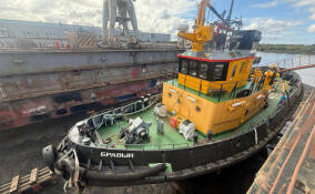 Капитан буксира пойдет под суд за нарушение безопасности в порту Приморск