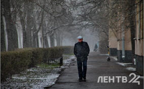 Дождь, мокрый снег и до +4: прогноз погоды в Ленобласти на 5 декабря
