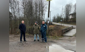 В деревне под Светогорском экстренно ремонтируют мост