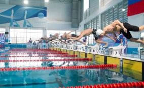 Плавание, хоккей и самбо: чем выходные порадуют любителей спорта в Ленобласти