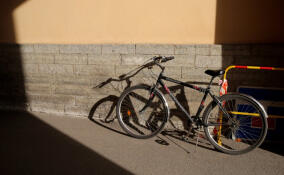 Житель поселка Советский напал на двух братьев и отобрал у них велосипед