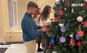 «Елка желаний» начала работать в правительстве Ленобласти