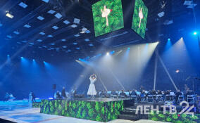 Магия льда и симфония Чайковского: «Щелкунчик» покоряет Петербург