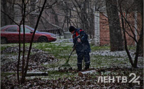 Мокрый снег, гололед и до +2 градусов: о погоде в Ленобласти 8 декабря