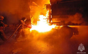 В Ленобласти спасатели за неделю потушили 65 пожаров