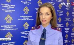 В Сланцах расследуют уголовное дело об истязании малолетних детей