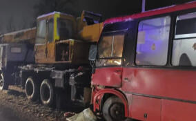 Пять человек пострадали в ДТП в Ломоносовском районе