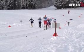 Лыжные гонки и хоккей: как Ленобласть оказалась в лидерах