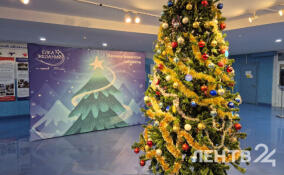 Новогоднюю «Елку желаний» зажгли в Разметелево