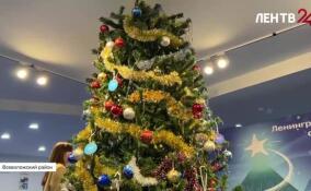 Волшебники приехали в Разметелево, чтобы исполнить детские мечты