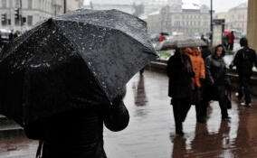 Мокрый снег и до +5 прогнозируют в Ленобласти 10 декабря