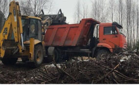 В Куялово убрали нелегальную свалку