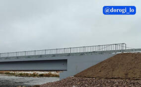 В Гатчинском округе отремонтировали мост через Ижору