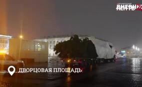 Главная новогодняя ель Петербурга прибыла на Дворцовую площадь