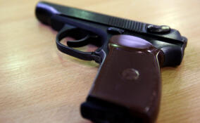 Бастрыкину представят доклад по делу о стрельбе в школе в Рябово