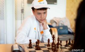 От конкура до шахмат: выходные в Ленобласти готовятся энергичные выходные