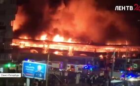 В Петербурге локализован пожар на Правобережном рынке