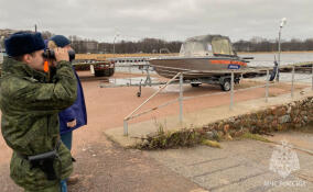 Специалисты проверили берега Финского залива и Вишневского озера