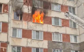 В Кировске пожарные спасли девочку во время пожара в многоэтажке