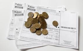 Акция «Прощайте, пени — 2025» в Ленобласти продлится до 25 декабря