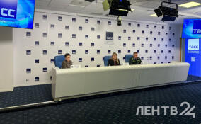 В Ленобласти продолжается акция по заготовке новогодних елей