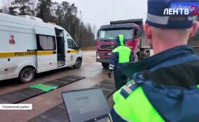 На дорогах Ленобласти организован весогабаритный контроль