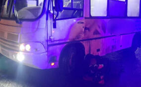 В Рощино женщина попала под колеса автобуса