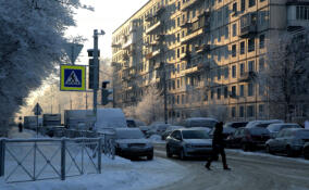 Петербуржцев ждут солнечные выходные