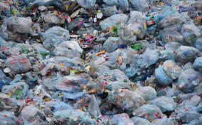 «Электронный глаз» для охраны природы: беспилотники выявляют незаконные свалки в Ленобласти