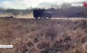 Курское приграничье: опасно для жизни