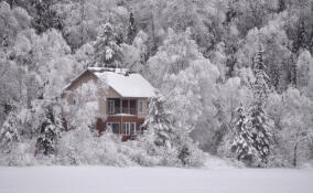 «Новогодний бум»: спрос на аренду загородных домов в Ленобласти вырос на 42%